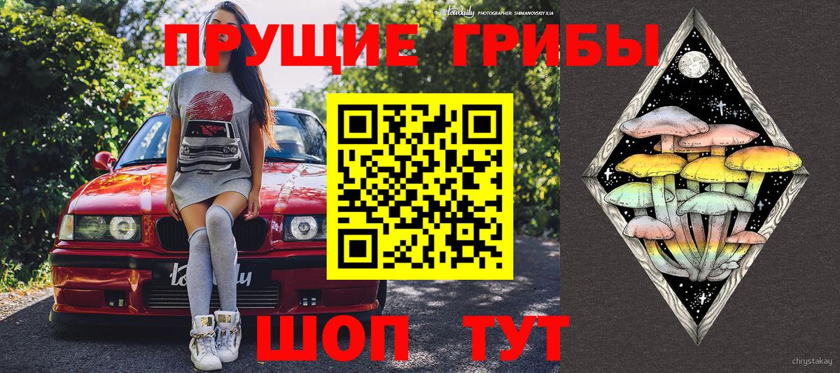 Псилоцибиновые грибы Magic Shrooms  Вход с VPN  Кимовск  Псилоцибиновые грибы ЛСД 